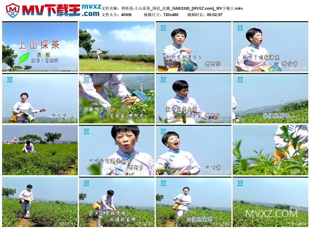 曾桂英-上山采茶_国语_民歌_NAI03320